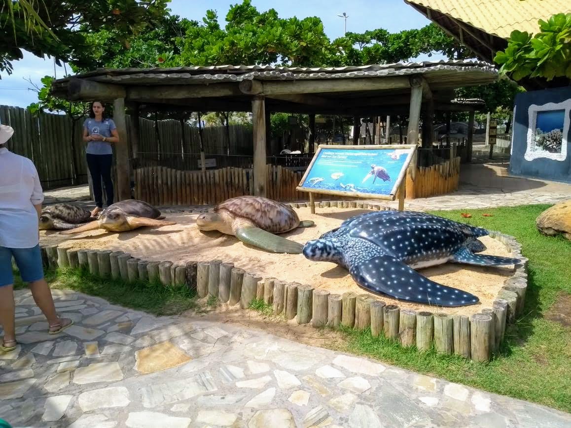 Oceanário de Aracaju-SE (Projeto Tamar)