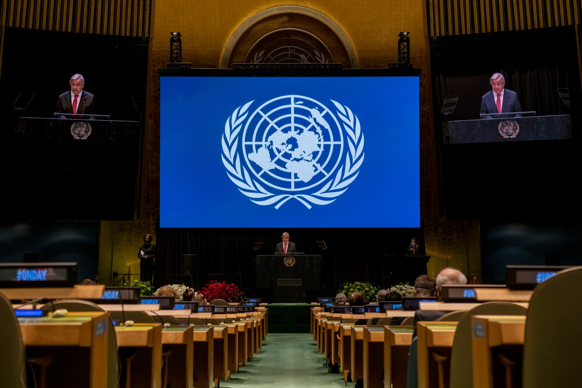 75 anos de história: veja os principais marcos da ONU na agenda ambiental